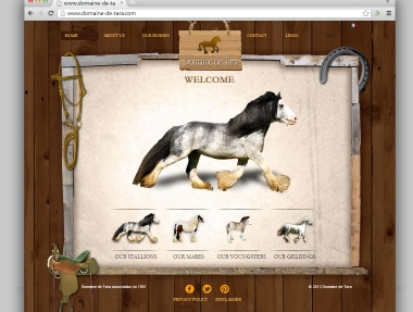 Horse Farm Website Design